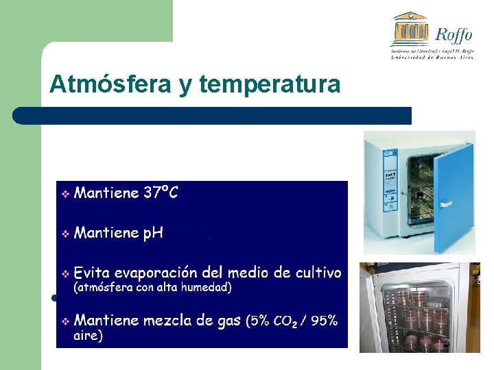 Atmósfera y temperatura l Estufa de cultivo con atmósfera de Dióxido de carbono 