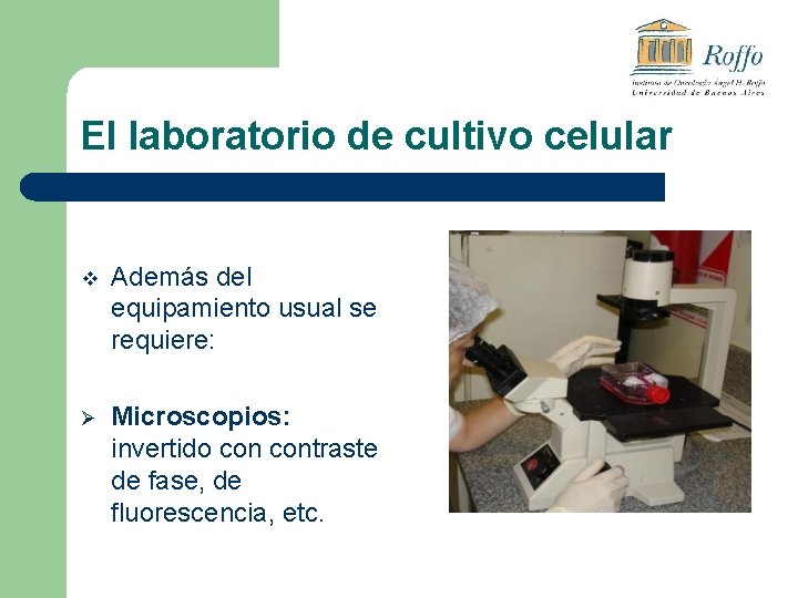 El laboratorio de cultivo celular v Además del equipamiento usual se requiere: Ø Microscopios: