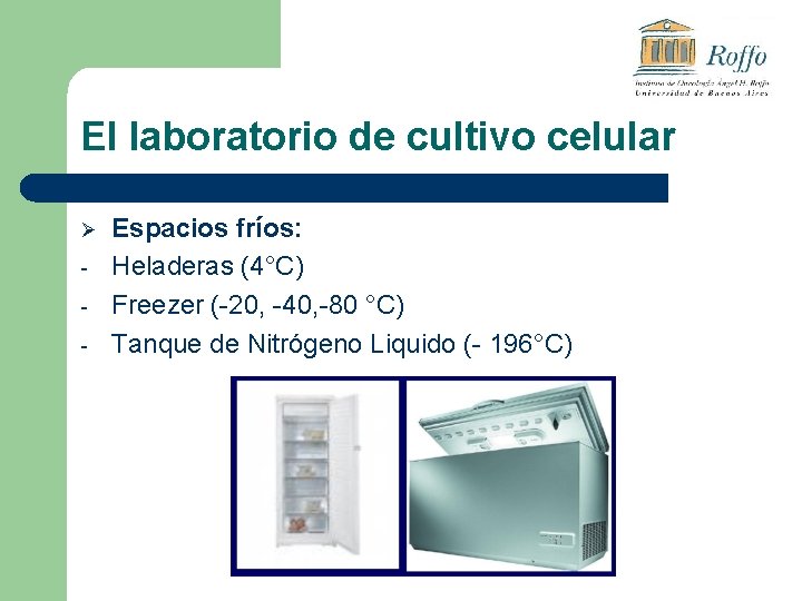 El laboratorio de cultivo celular Ø - Espacios fríos: Heladeras (4°C) Freezer (-20, -40,