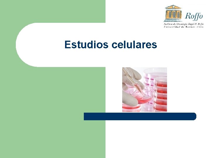 Estudios celulares 