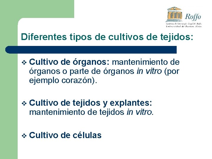 Diferentes tipos de cultivos de tejidos: v Cultivo de órganos: mantenimiento de órganos o