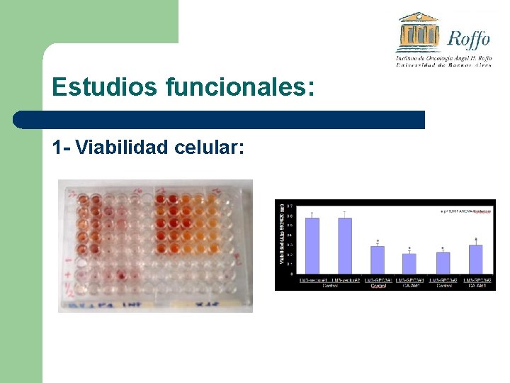 Estudios funcionales: 1 - Viabilidad celular: 