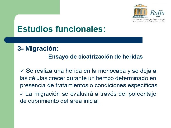 Estudios funcionales: 3 - Migración: Ensayo de cicatrización de heridas ü Se realiza una
