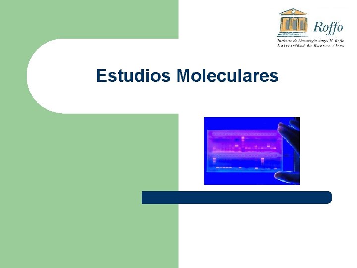 Estudios Moleculares 