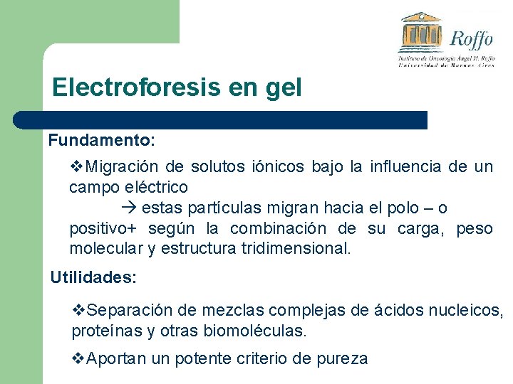 Electroforesis en gel Fundamento: v. Migración de solutos iónicos bajo la influencia de un