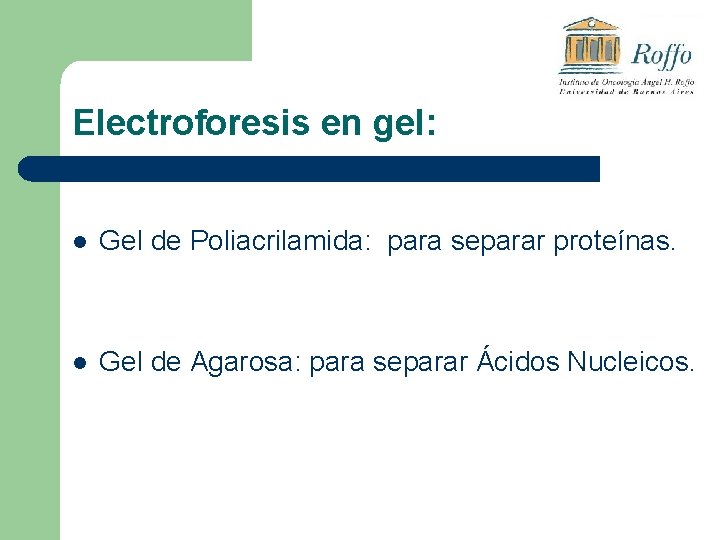 Electroforesis en gel: l Gel de Poliacrilamida: para separar proteínas. l Gel de Agarosa: