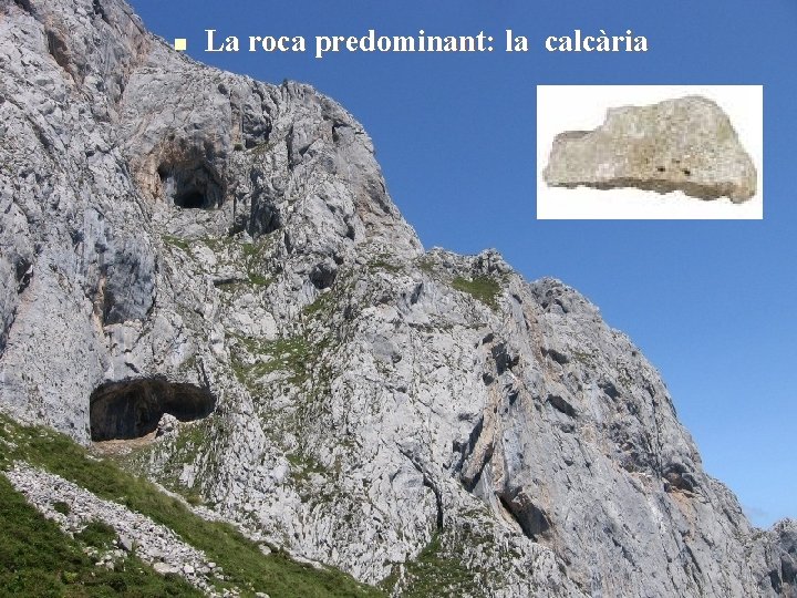 n La roca predominant: la calcària 