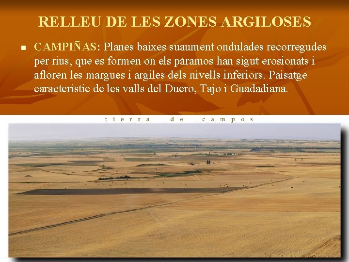 RELLEU DE LES ZONES ARGILOSES n CAMPIÑAS: Planes baixes suaument ondulades recorregudes per rius,