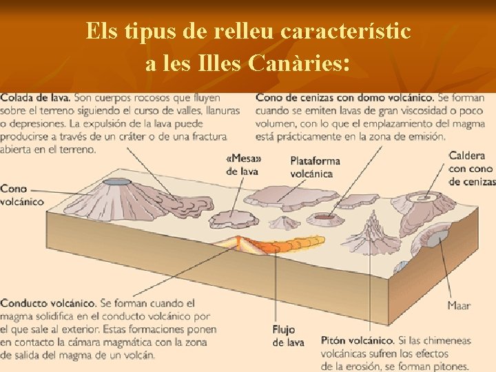 Els tipus de relleu característic a les Illes Canàries: 