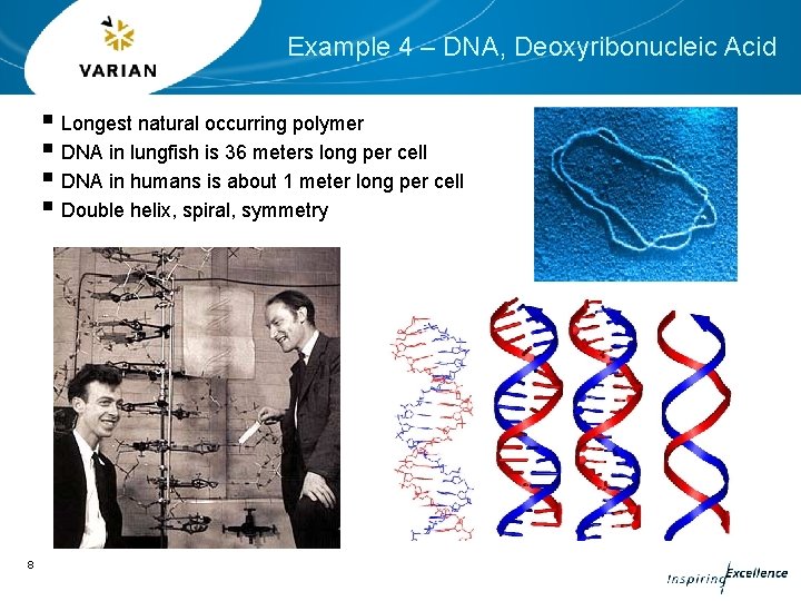 Example 4 – DNA, Deoxyribonucleic Acid § Longest natural occurring polymer § DNA in