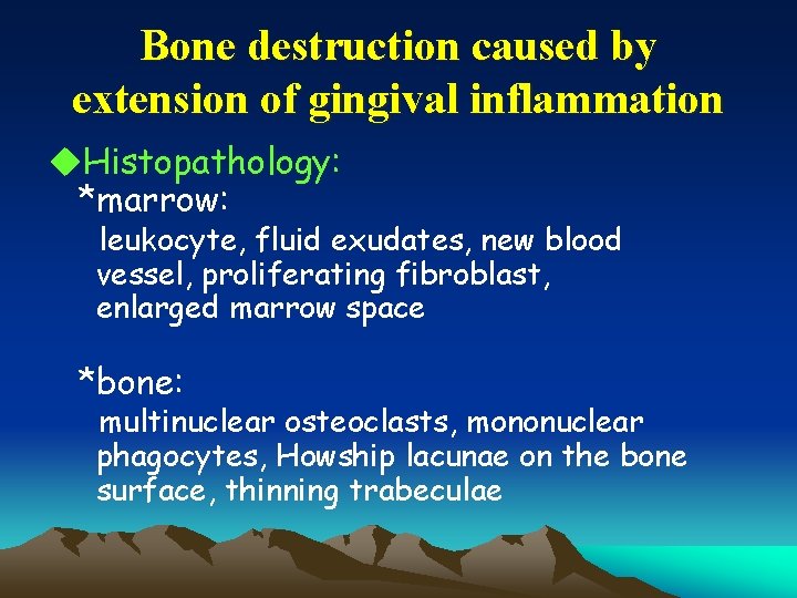 Bone destruction caused by extension of gingival inflammation u. Histopathology: *marrow: leukocyte, fluid exudates,