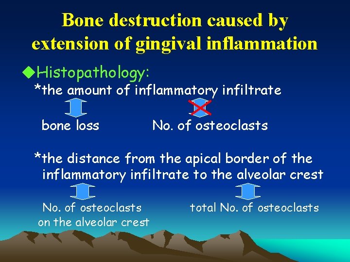 Bone destruction caused by extension of gingival inflammation u. Histopathology: *the amount of inflammatory