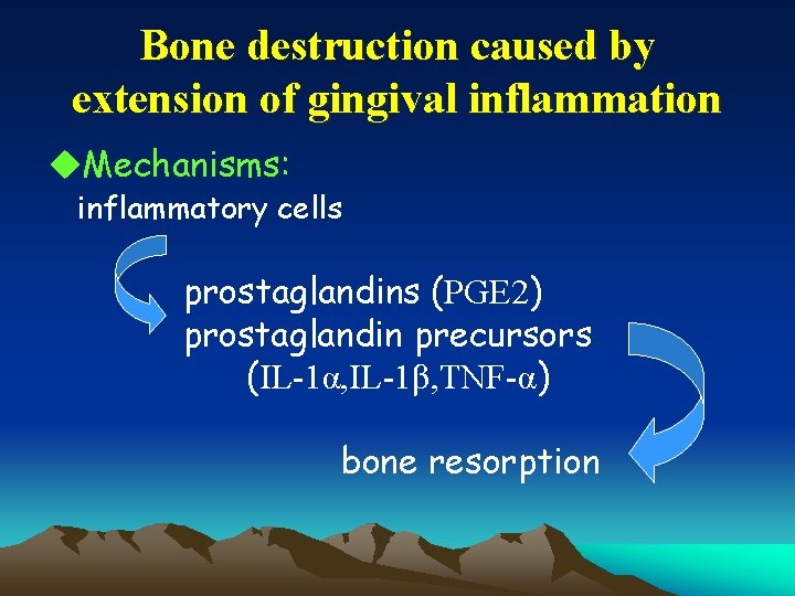 Bone destruction caused by extension of gingival inflammation u. Mechanisms: inflammatory cells prostaglandins (PGE