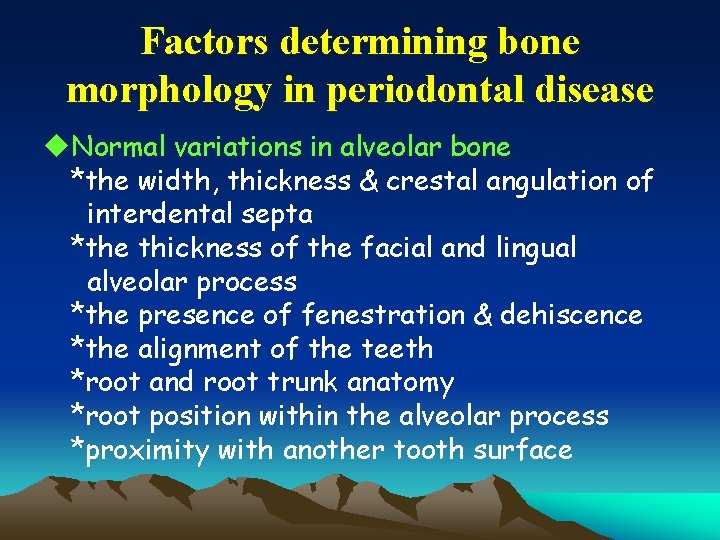 Factors determining bone morphology in periodontal disease u. Normal variations in alveolar bone *the