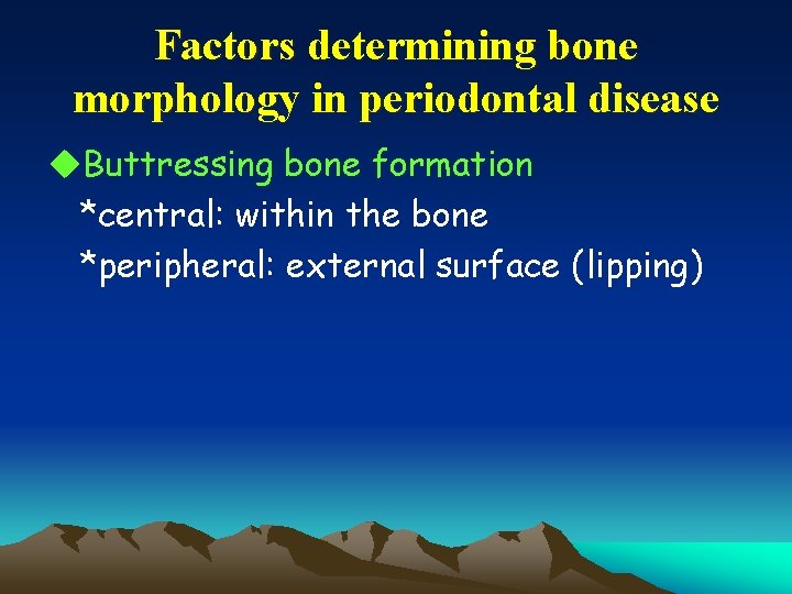 Factors determining bone morphology in periodontal disease u. Buttressing bone formation *central: within the