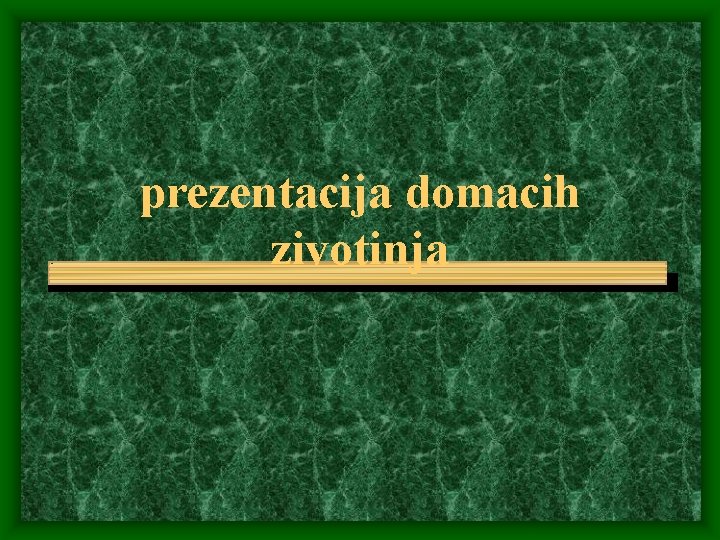 prezentacija domacih zivotinja 