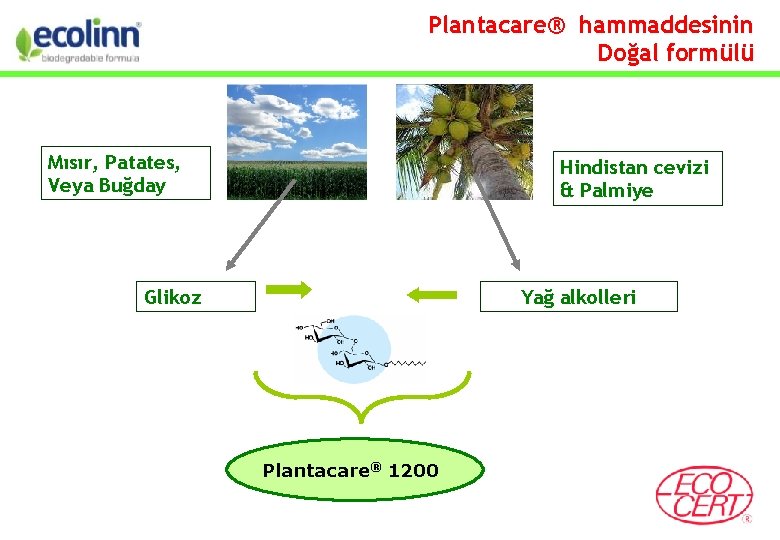 Plantacare® hammaddesinin Doğal formülü Mısır, Patates, Veya Buğday Hindistan cevizi & Palmiye Glikoz Yağ