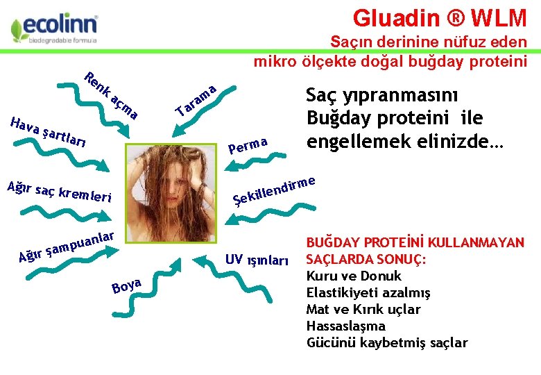 Gluadin ® WLM Saçın derinine nüfuz eden mikro ölçekte doğal buğday proteini Re nk