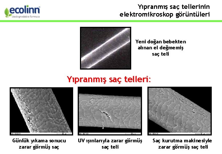 Yıpranmış saç tellerinin elektromikroskop görüntüleri Yeni doğan bebekten alınan el değmemiş saç teli Yıpranmış
