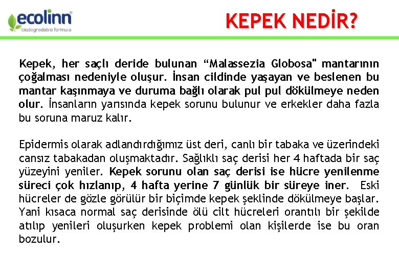 KEPEK NEDİR? Kepek, her saçlı deride bulunan “Malassezia Globosa" mantarının çoğalması nedeniyle oluşur. İnsan