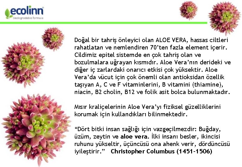 Doğal bir tahriş önleyici olan ALOE VERA, hassas ciltleri rahatlatan ve nemlendiren 70’ten fazla