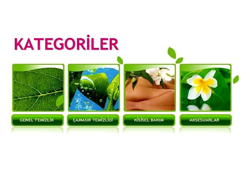 KATEGORİLER 