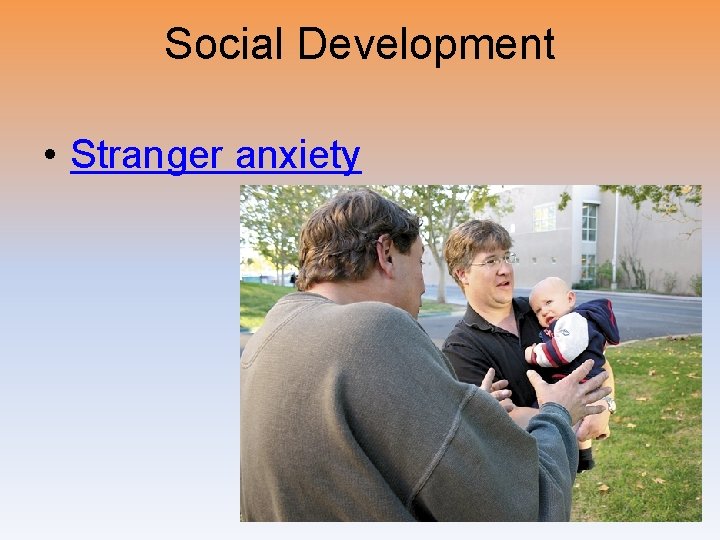 Social Development • Stranger anxiety 