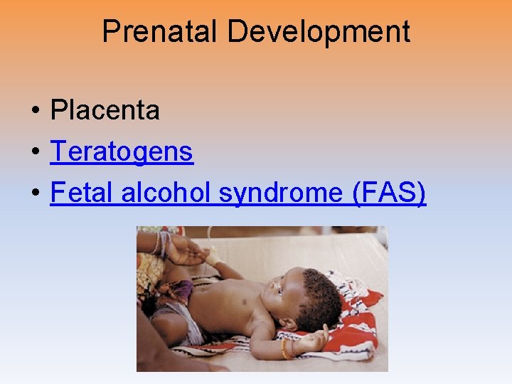 Prenatal Development • Placenta • Teratogens • Fetal alcohol syndrome (FAS) 