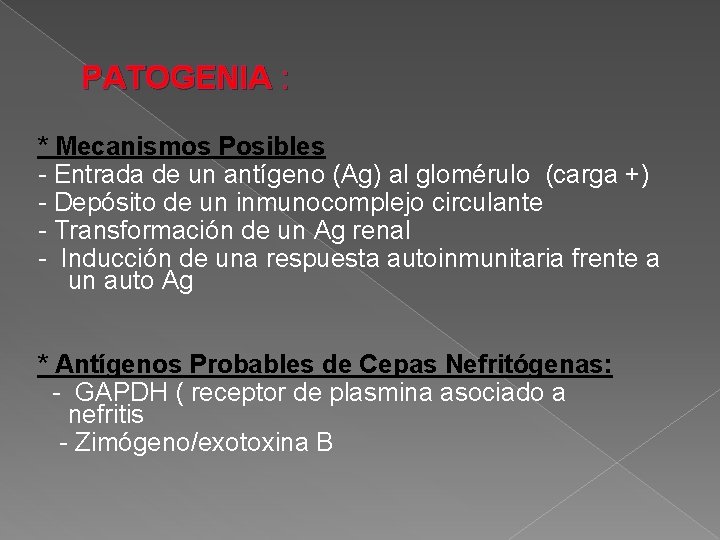 PATOGENIA : * Mecanismos Posibles - Entrada de un antígeno (Ag) al glomérulo (carga