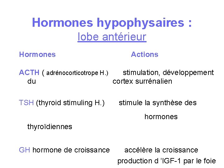 Hormones hypophysaires : lobe antérieur Hormones Actions ACTH ( adrénocorticotrope H. ) stimulation, développement Hormones hypophysaires : lobe antérieur Hormones Actions ACTH ( adrénocorticotrope H. ) stimulation, développement