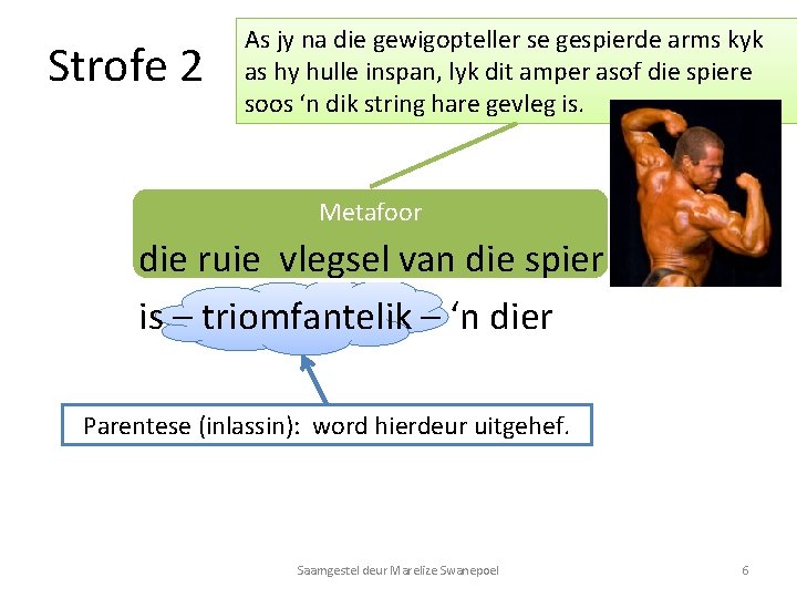 Strofe 2 As jy na die gewigopteller se gespierde arms kyk as hy hulle