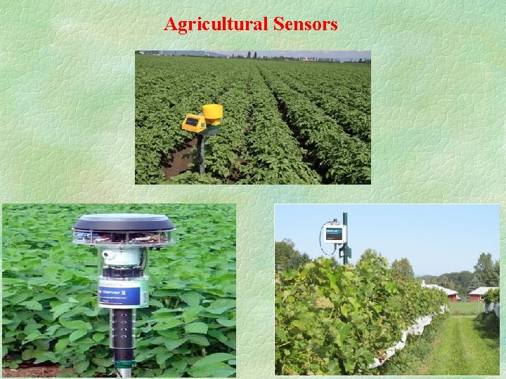 Agricultural Sensors 