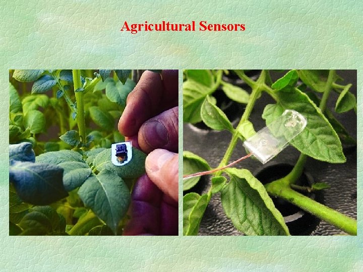 Agricultural Sensors 