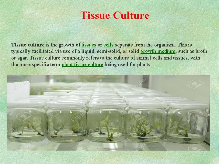 Tissue Culture Tissue culture is the growth of tissues or cells separate from the