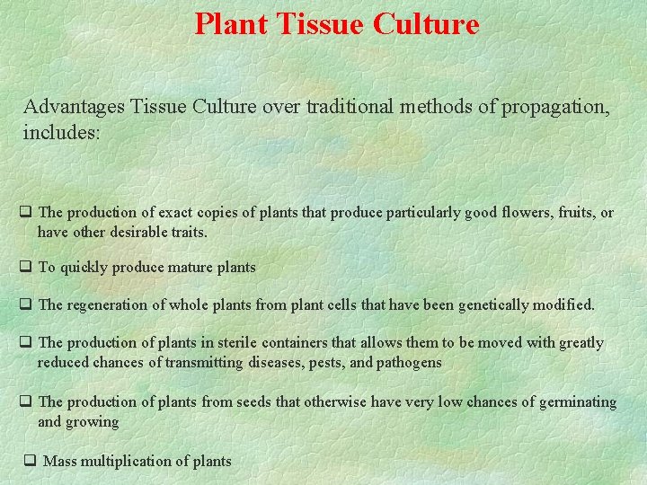 Plant Tissue Culture Advantages Tissue Culture over traditional methods of propagation, includes: q The