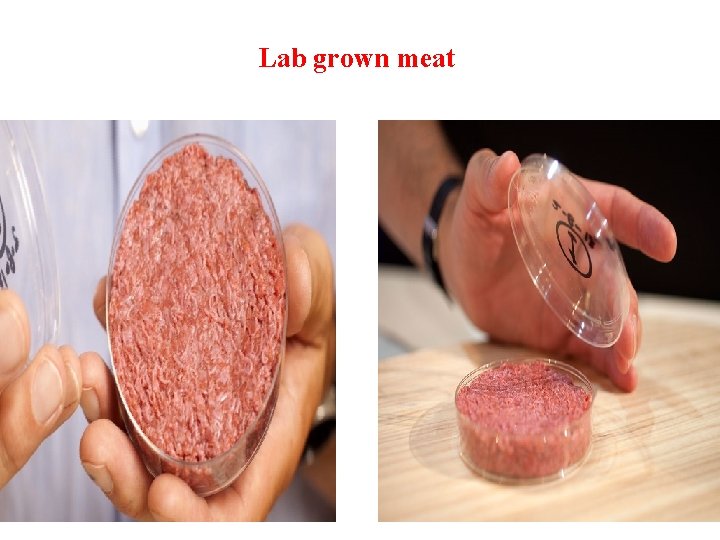 Lab grown meat 