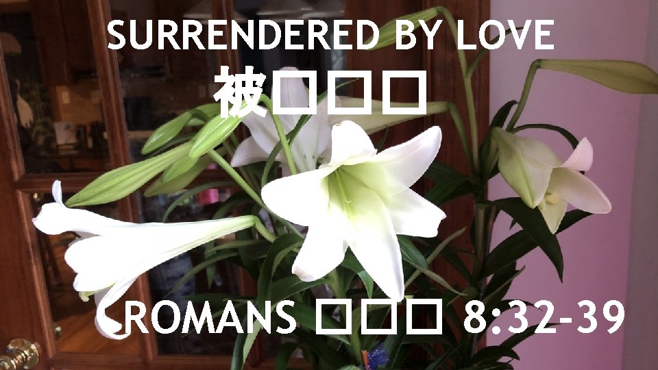 SURRENDERED BY LOVE 被��� ROMANS ��� 8: 32 -39 