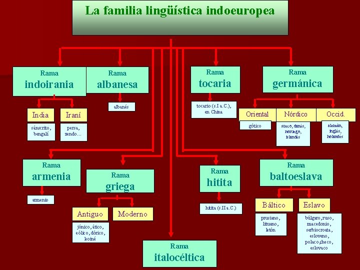 La familia lingüística indoeuropea Rama indoirania albanesa tocaria germánica tocario (s. I a. C.