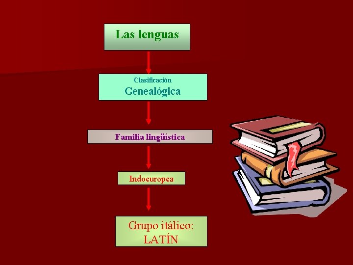 Las lenguas Clasificación Genealógica Familia lingüística Indoeuropea Grupo itálico: LATÍN 