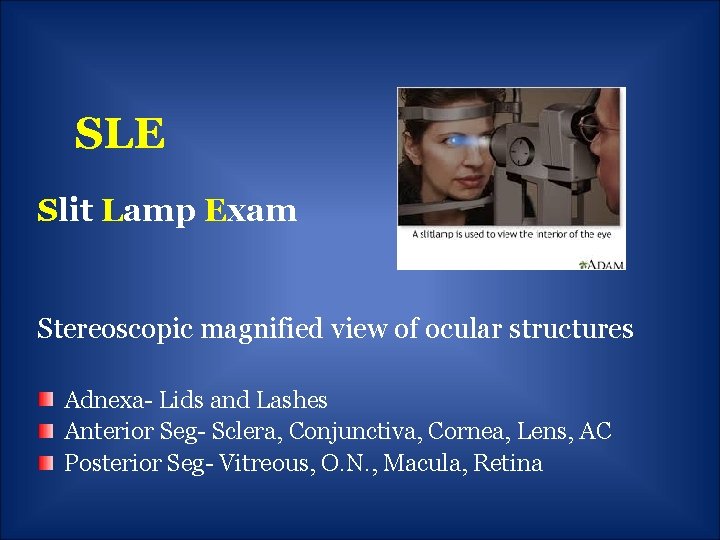 SLE Slit Lamp Exam Stereoscopic magnified view of ocular structures Adnexa- Lids and Lashes