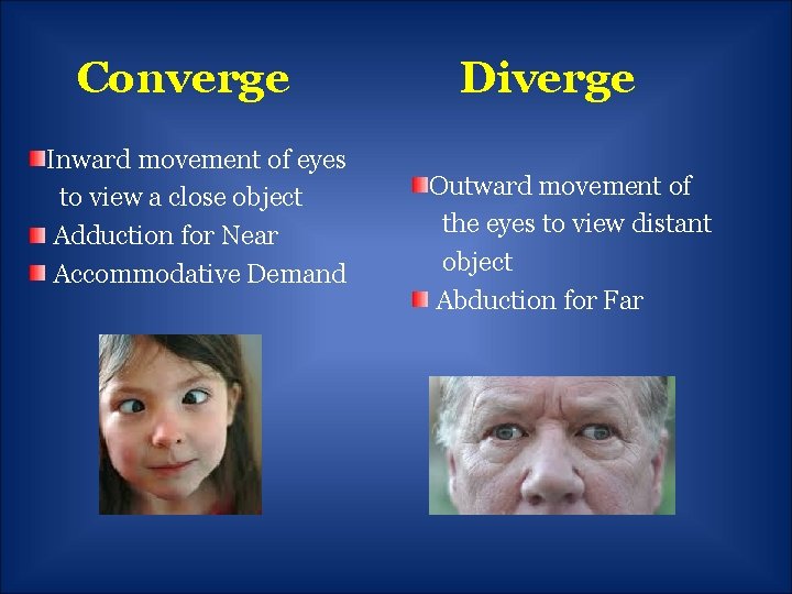 Converge Inward movement of eyes to view a close object Adduction for Near Accommodative