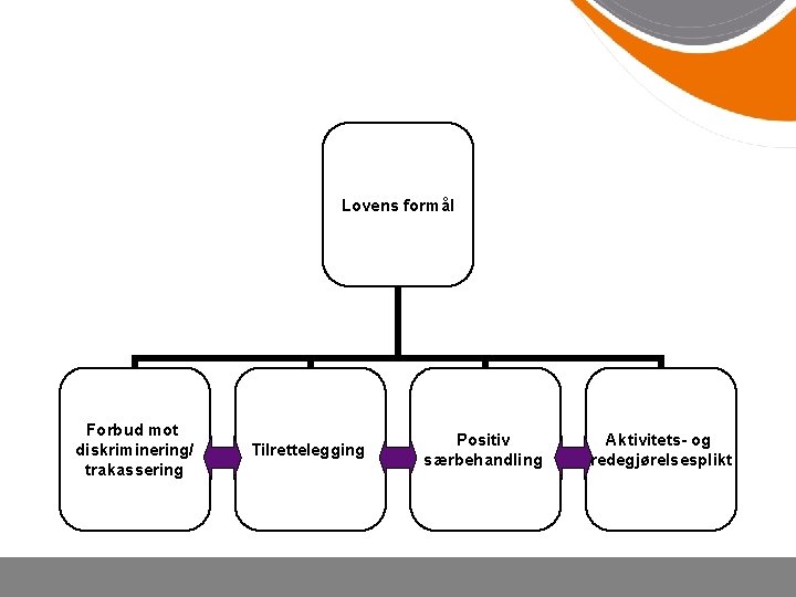Lovens formål Forbud mot diskriminering/ trakassering Tilrettelegging Positiv særbehandling Aktivitets- og redegjørelsesplikt 