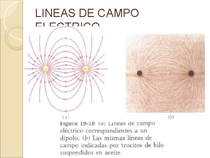 LINEAS DE CAMPO ELECTRICO 