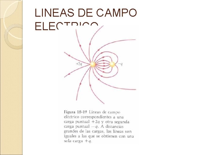 LINEAS DE CAMPO ELECTRICO 