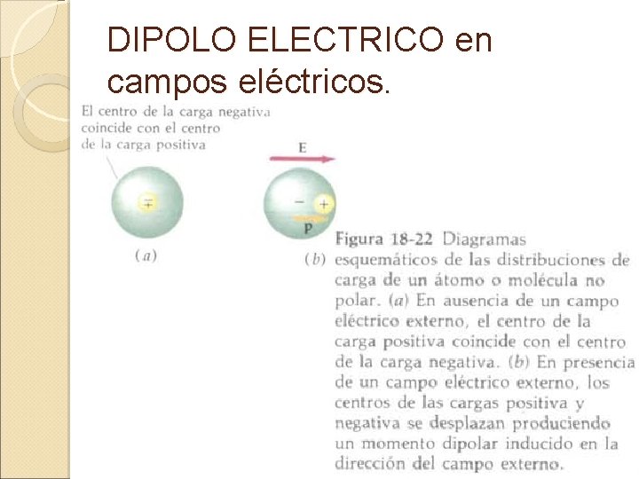DIPOLO ELECTRICO en campos eléctricos. 