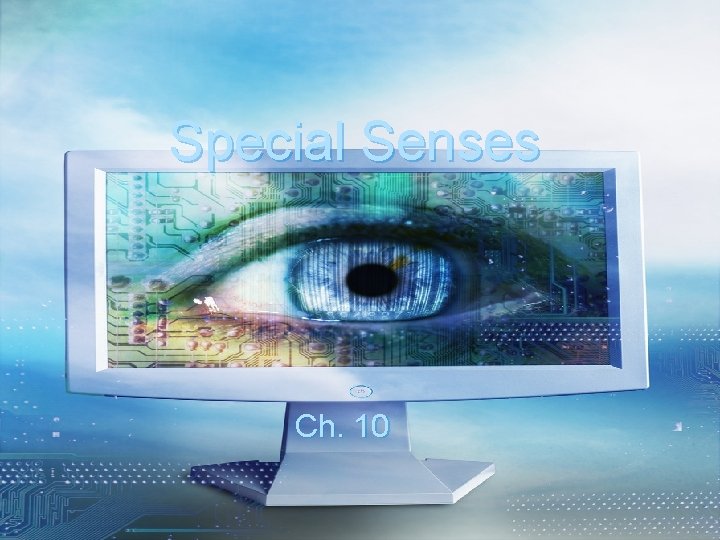 Special Senses Ch. 10 