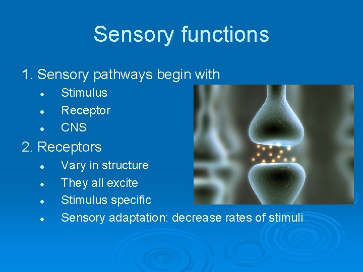 Sensory functions 1. Sensory pathways begin with l l l Stimulus Receptor CNS 2.