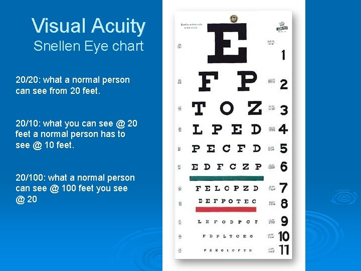 Visual Acuity Snellen Eye chart 20/20: what a normal person can see from 20