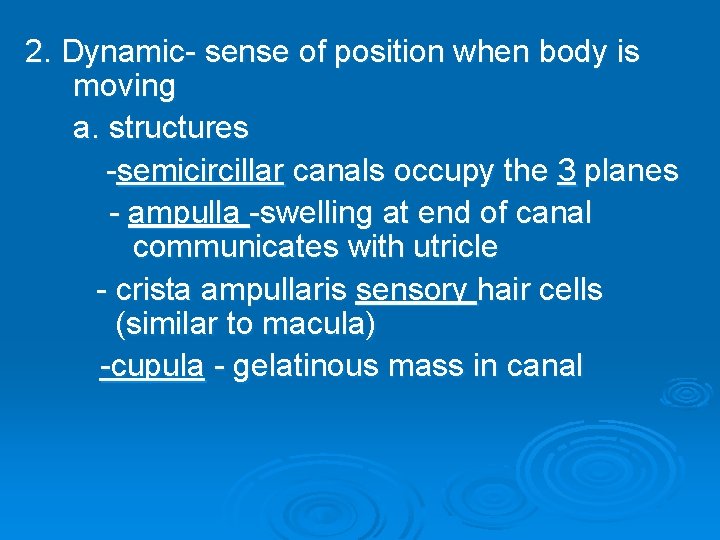2. Dynamic- sense of position when body is moving a. structures -semicircillar canals occupy