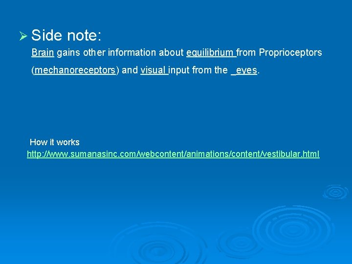 Ø Side note: Brain gains other information about equilibrium from Proprioceptors (mechanoreceptors) and visual